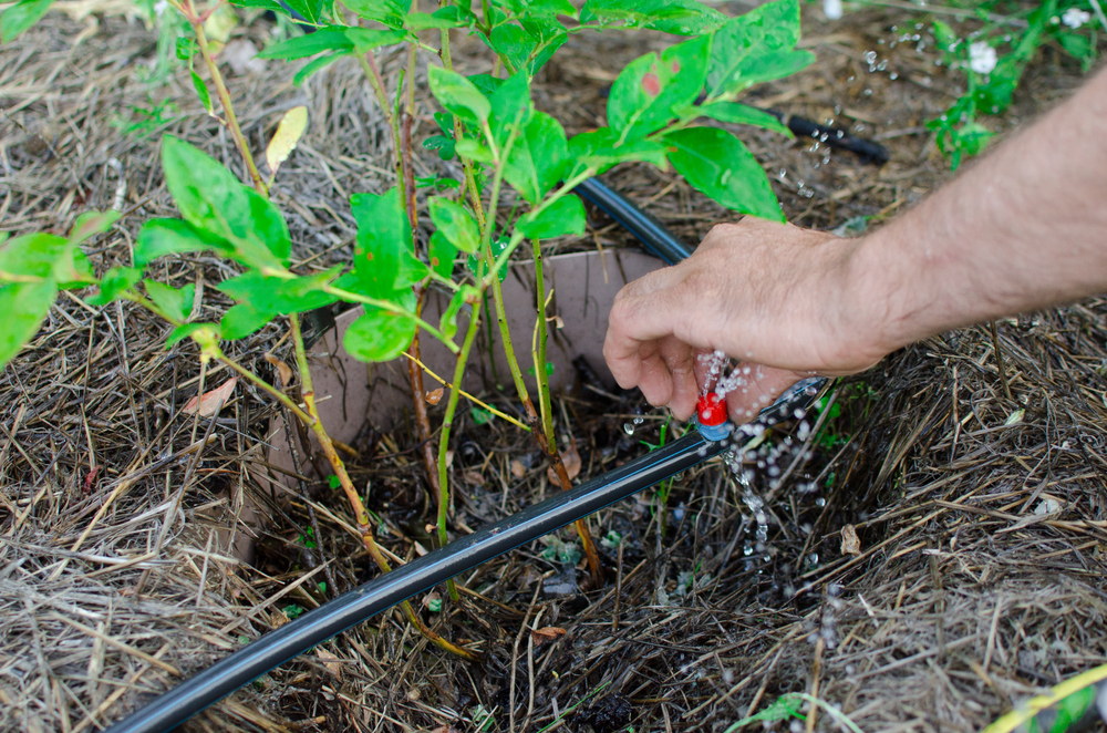 Réparation ou remplacement d’un tube goutte-à-goutte pour l’irrigation